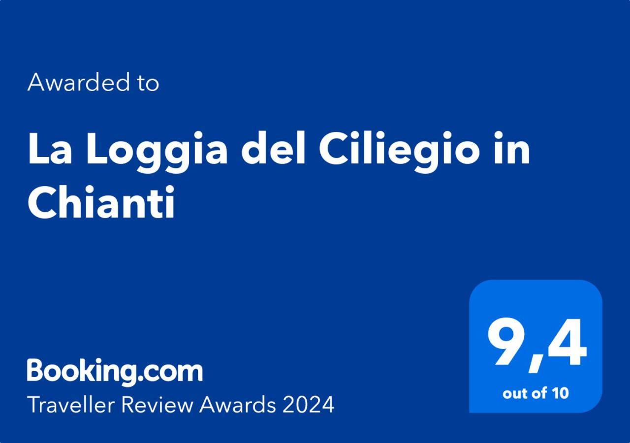 蒙特斯佩尔托利La Loggia Del Ciliegio In Chianti住宿加早餐旅馆 外观 照片